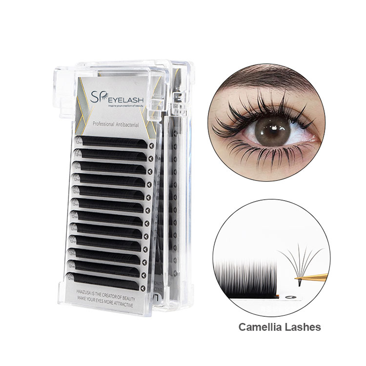 0,07 Camellia Lash -bakke
