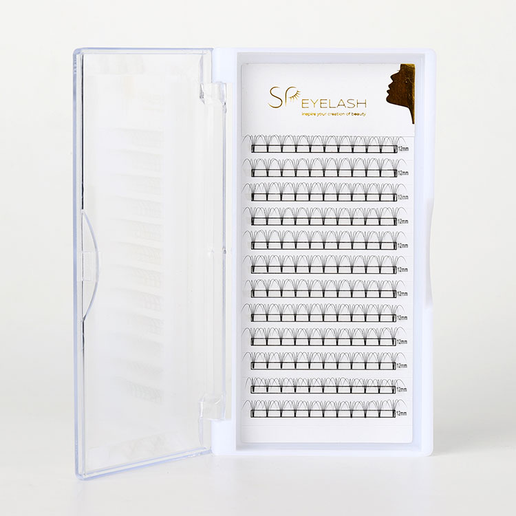 Hvorfor former præmade viftevipper fremtiden for professionelle vippeforlængelser?